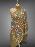 pashmina kashmiri olive brown stole,  front full