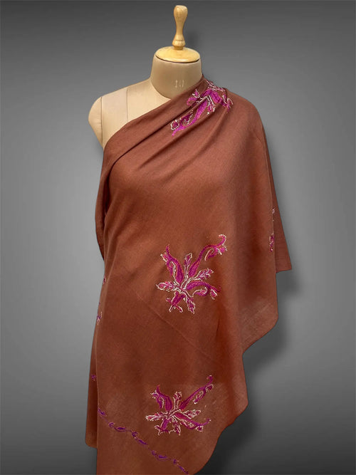 aksi pashmina kashmiri cocoa brown stole,  front full 2